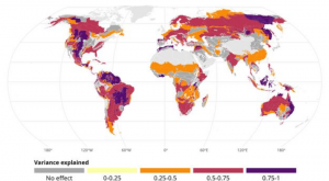 Igg Cnr relazione variabilità clima - incendi