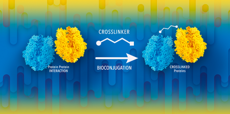 crosslinking