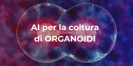 coltura degli organoidi Seneco