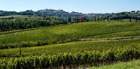 microbioma del suolo vino nobile montepulciano