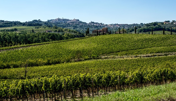 microbioma del suolo vino nobile montepulciano