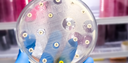 BactEradiX università bologna